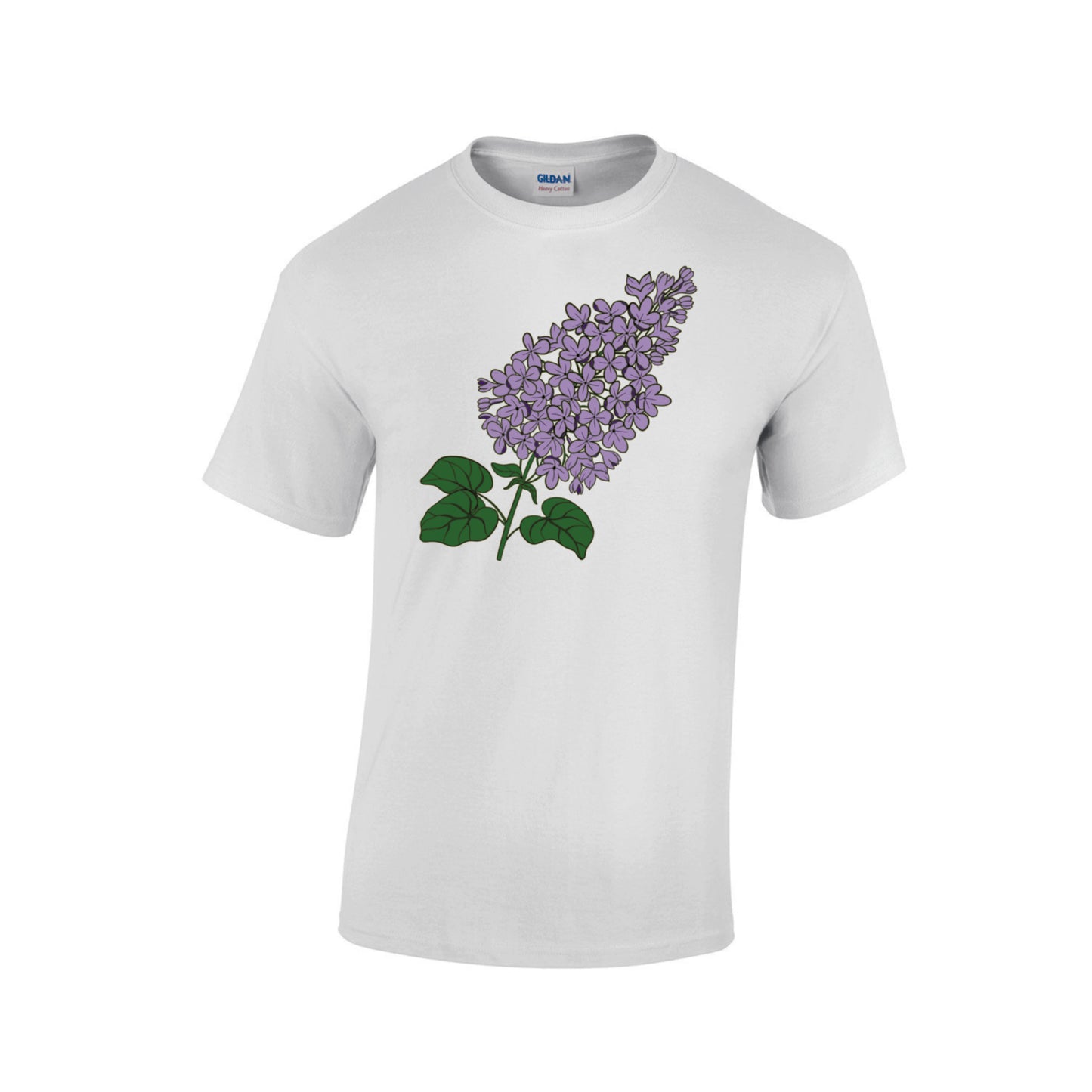 Rochester Lilacs