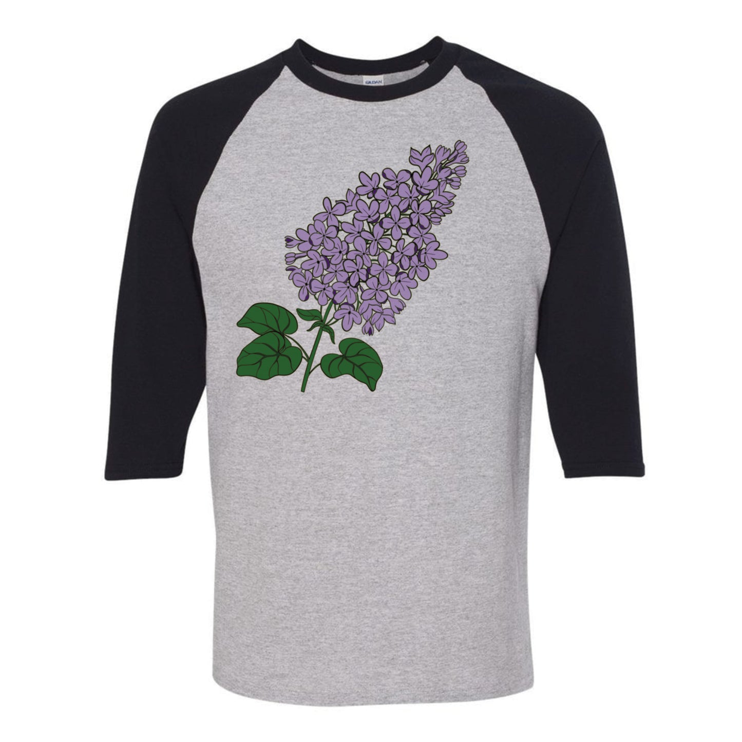 Rochester Lilacs